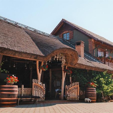 Hotel Gagauz Sofrasi Congaz Exteriér fotografie