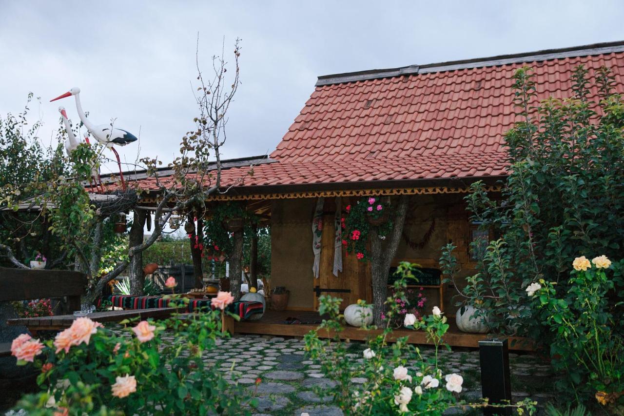 Hotel Gagauz Sofrasi Congaz Exteriér fotografie